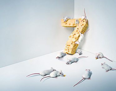 OMNITEL-7s-mice copy